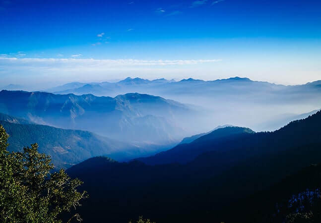 Hills and Wildlife of Uttarakhand 07